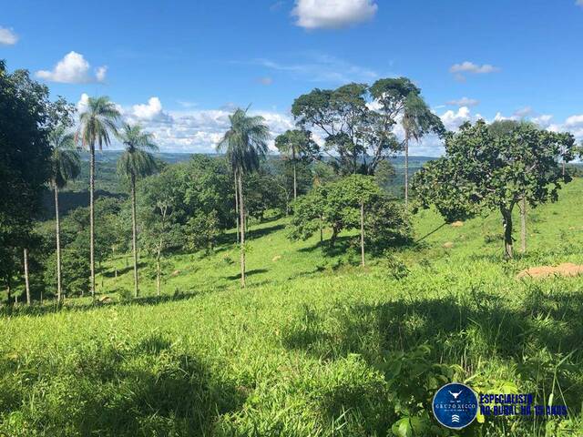 #3600 - Fazenda para Venda em Senador Canedo - GO