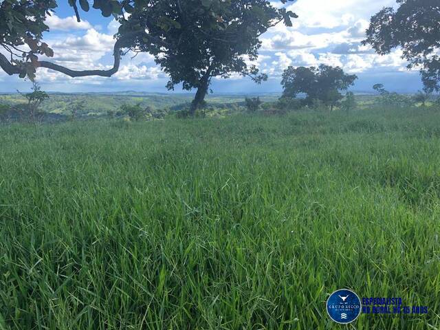 #3600 - Fazenda para Venda em Senador Canedo - GO