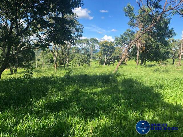 Fazenda para Venda em Senador Canedo - 5