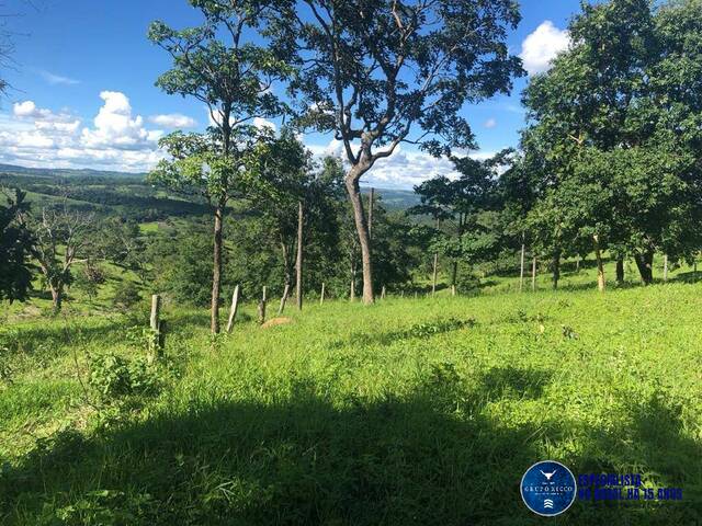 #3600 - Fazenda para Venda em Senador Canedo - GO