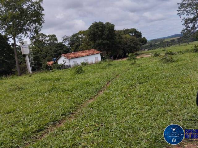 #3604 - Fazenda para Venda em Heitoraí - GO