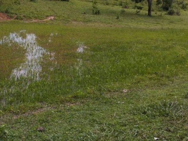 #3604 - Fazenda para Venda em Heitoraí - GO