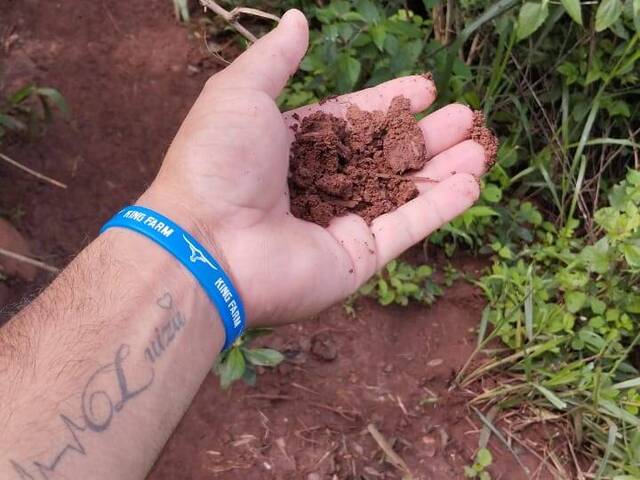 #3604 - Fazenda para Venda em Heitoraí - GO