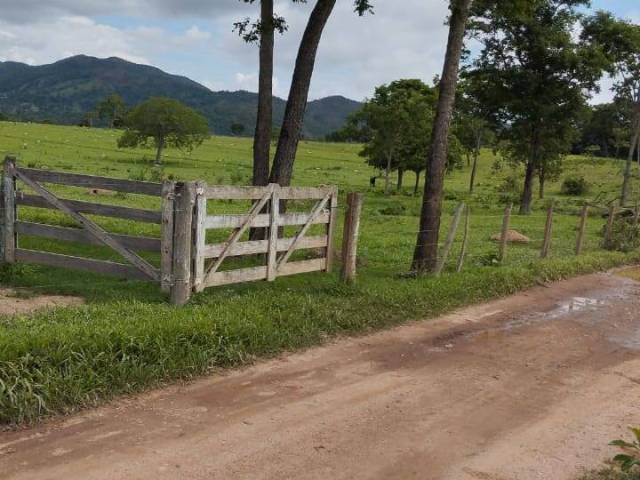 Venda em zona rural - Heitoraí