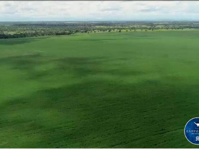 Fazenda para Venda em São Miguel do Araguaia - 4