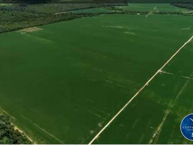Fazenda para Venda em São Miguel do Araguaia - 5
