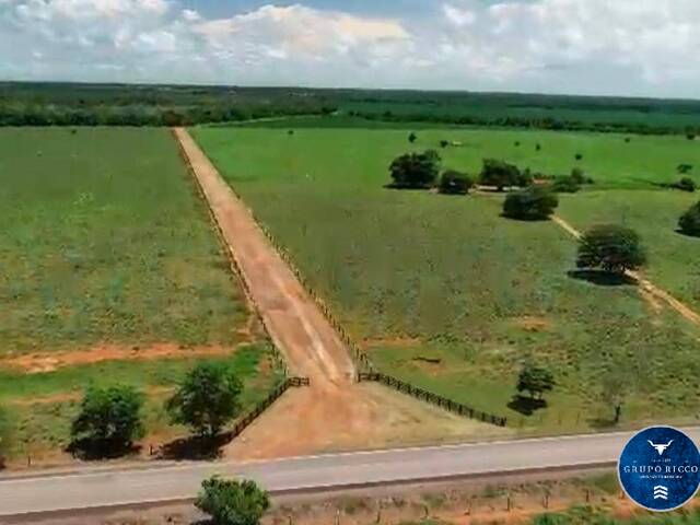 #3605 - Fazenda para Venda em São Miguel do Araguaia - GO