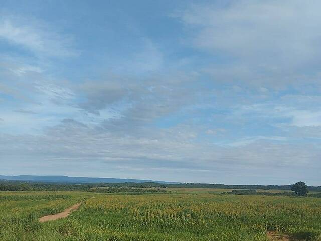 #3606 - Fazenda para Venda em Bom Jardim de Goiás - GO