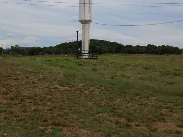 #3607 - Fazenda para Venda em Mairipotaba - GO