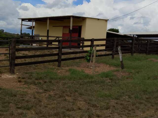 Chácara para Venda em Mairipotaba - 4