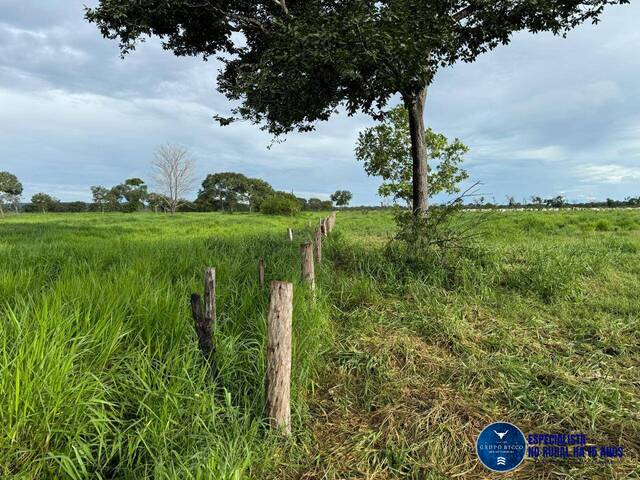 #3608 - Fazenda para Venda em Jussara - GO