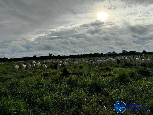 #3608 - Fazenda para Venda em Jussara - GO
