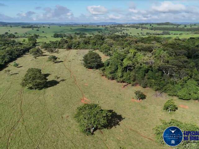 #3611 - Fazenda para Venda em Anicuns - GO