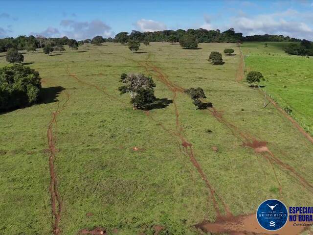 Fazenda para Venda em Anicuns - 5