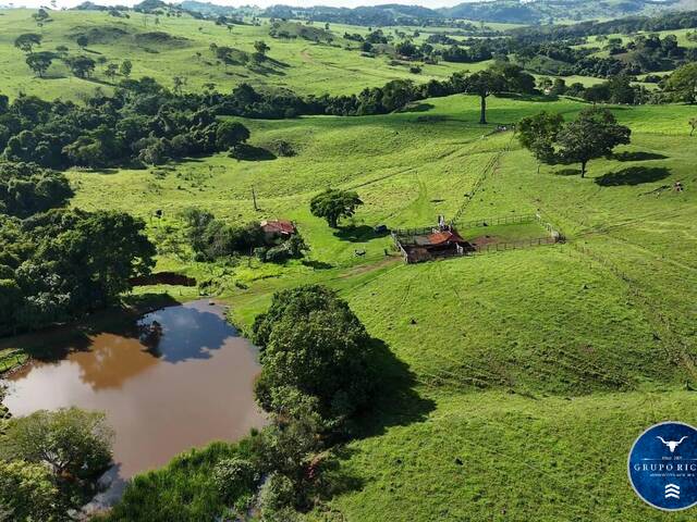 #3611 - Fazenda para Venda em Anicuns - GO