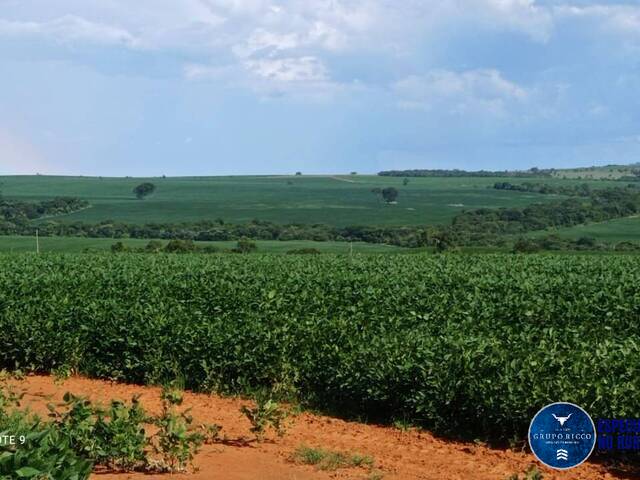 #3612 - Fazenda para Venda em Doverlândia - GO