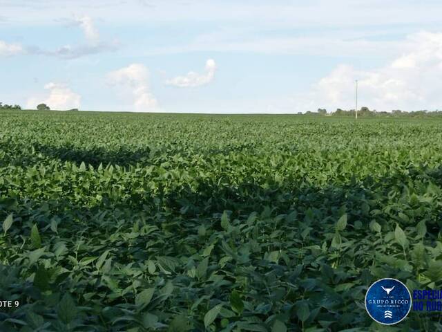 #3612 - Fazenda para Venda em Doverlândia - GO