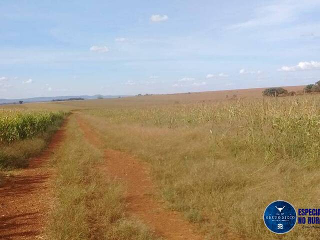Fazenda para Venda em Doverlândia - 4