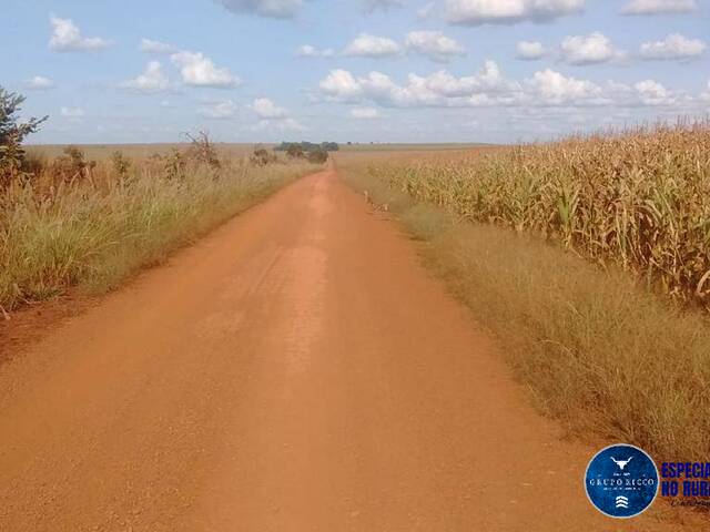 Fazenda para Venda em Doverlândia - 5