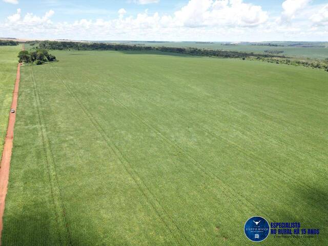#3615 - Fazenda para Venda em Rio Verde - GO
