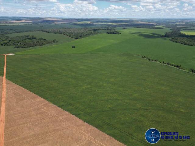 Fazenda para Venda em Rio Verde - 5