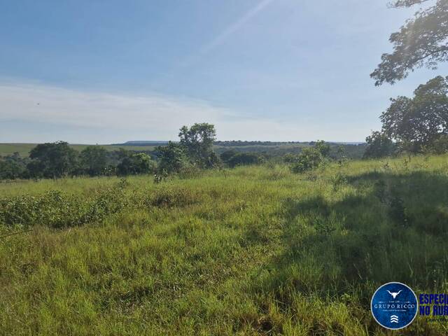 #3616 - Fazenda para Venda em Ribeirãozinho - MT