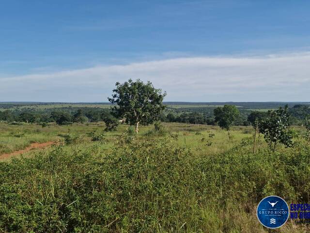 #3616 - Fazenda para Venda em Ribeirãozinho - MT