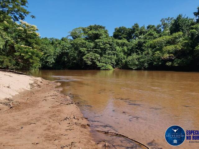 #3616 - Fazenda para Venda em Ribeirãozinho - MT