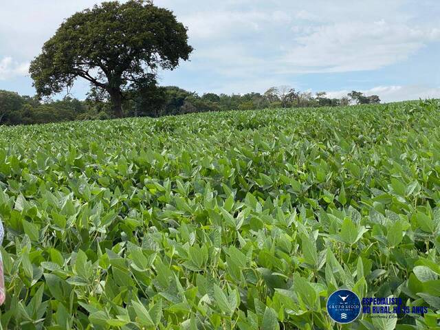 Venda em zona rural - Rio Verde