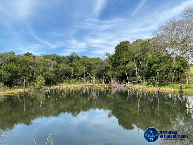 Sítio para Venda em Rio Verde - 5