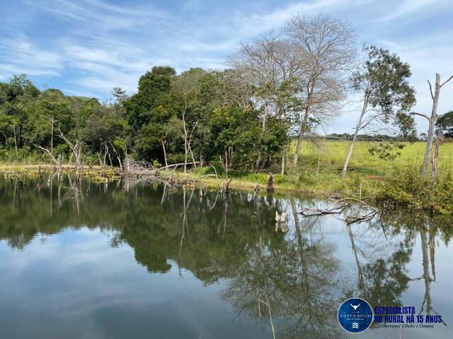 Sítio para Venda em Rio Verde - 4
