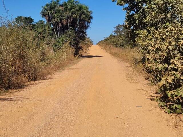 #3619 - Fazenda para Venda em Cocalinho - MT