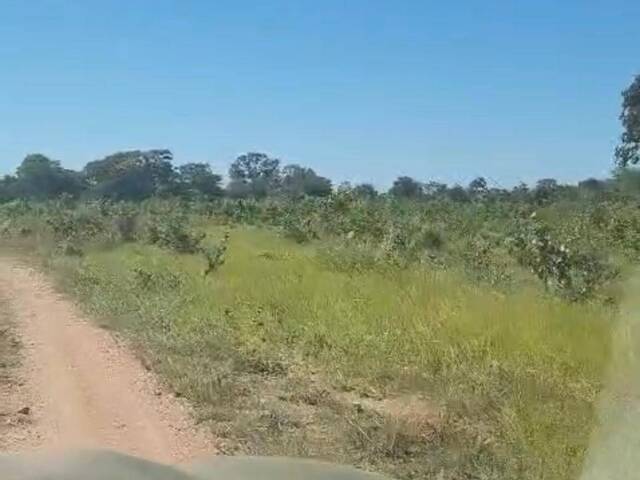 #3619 - Fazenda para Venda em Cocalinho - MT