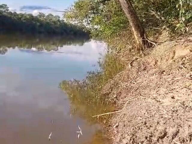 #3620 - Fazenda para Venda em Cocalinho - MT