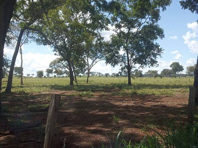 #3622 - Fazenda para Venda em Ribeirão Cascalheira - MT