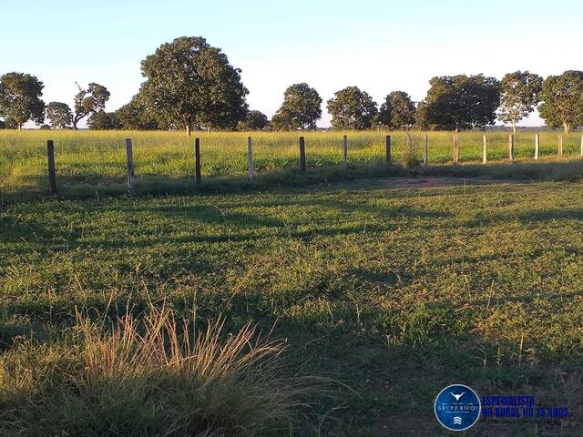 #3628 - Fazenda para Venda em Matrinchã - GO