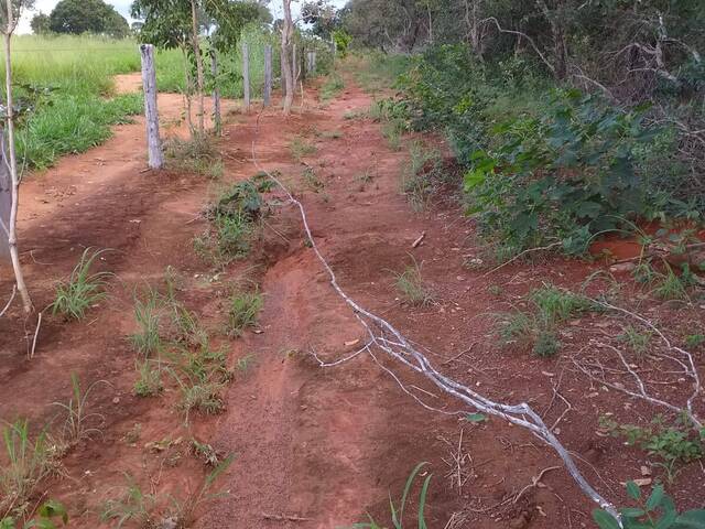 #3628 - Fazenda para Venda em Matrinchã - GO