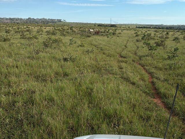 #3629 - Fazenda para Venda em Mineiros - GO