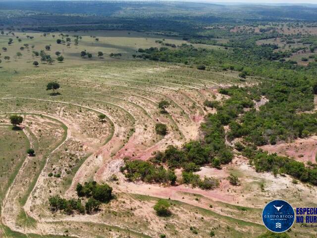 #3630 - Fazenda para Venda em Caiapônia - GO