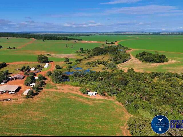 #3633 - Fazenda para Venda em Montes Claros de Goiás - GO