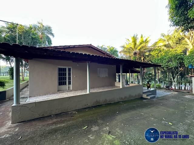 Chácara para Venda em Bela Vista de Goiás - 4