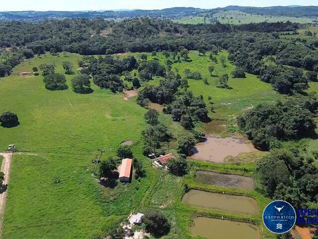 #3635 - Chácara para Venda em Petrolina de Goiás - GO