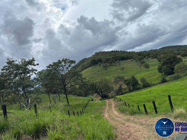 #3638 - Fazenda para Venda em Estrela do Norte - GO