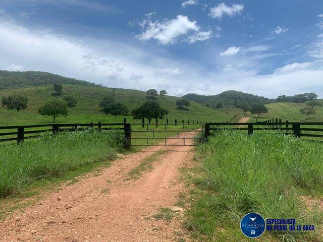 #3638 - Fazenda para Venda em Estrela do Norte - GO