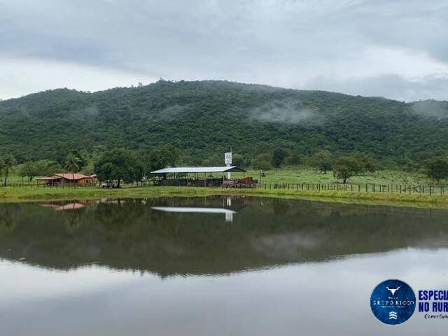 #3642 - Fazenda para Venda em Morro Agudo de Goiás - GO