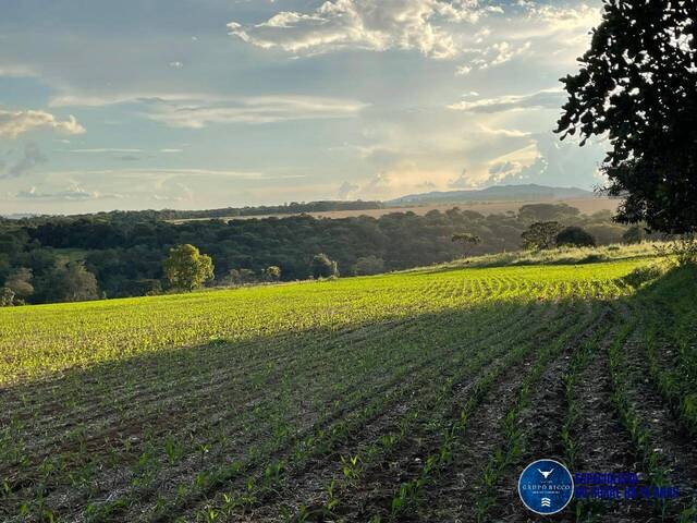 #3644 - Chácara para Venda em Goiás - GO