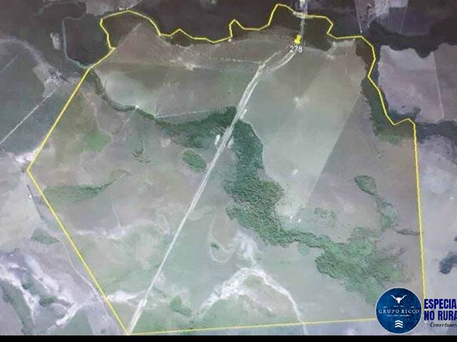 Fazenda para Venda em Lagoa da Confusão - 4