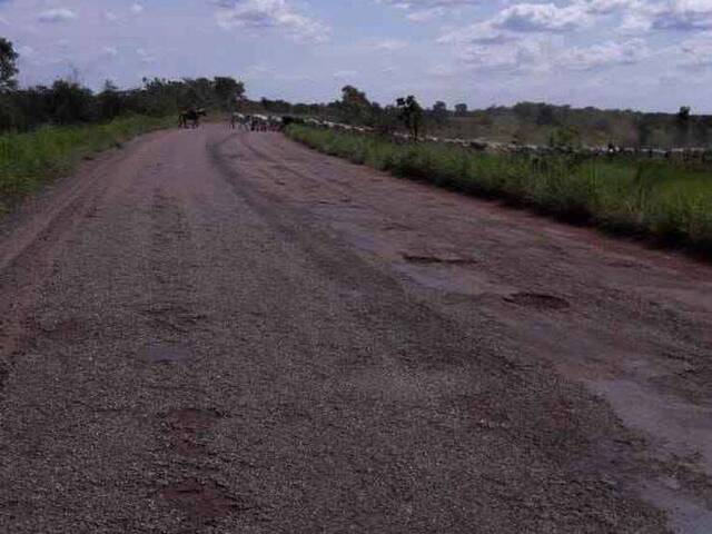 Fazenda para Venda em Lagoa da Confusão - 5