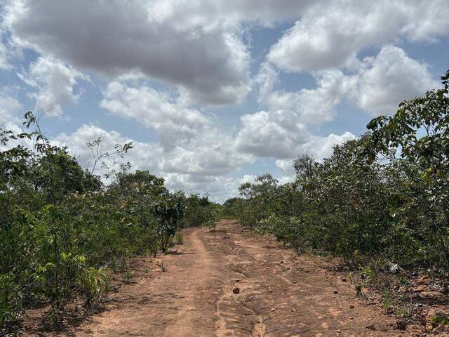#3648 - Fazenda para Venda em Alto Parnaíba - MA