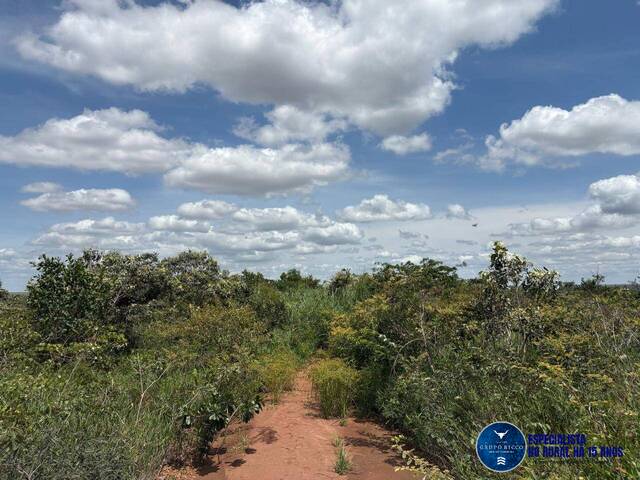 #3648 - Fazenda para Venda em Alto Parnaíba - MA